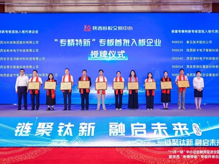 搭台架桥共谋发展 “一月一链”中小企业融资促进全国行宝鸡站活动举行