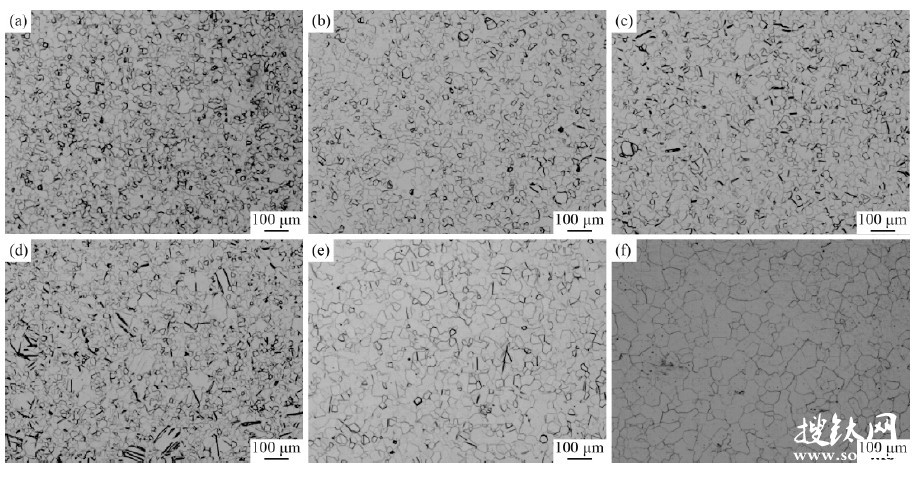 不同條件下純鈦的微觀組織形貌