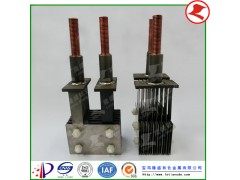 游泳池水消毒用鈦陽(yáng)極圖3