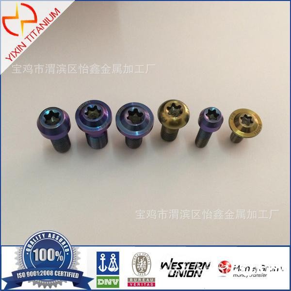 Gr5 Titanium Screw for automob