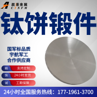 现货秒发TC4钛饼298×193MM钛合金锻件R5钛饼光亮面