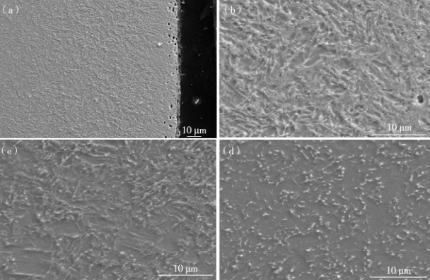 微信圖片_20201201082844