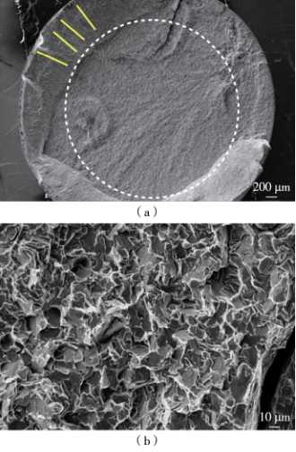 微信圖片_20201201082857