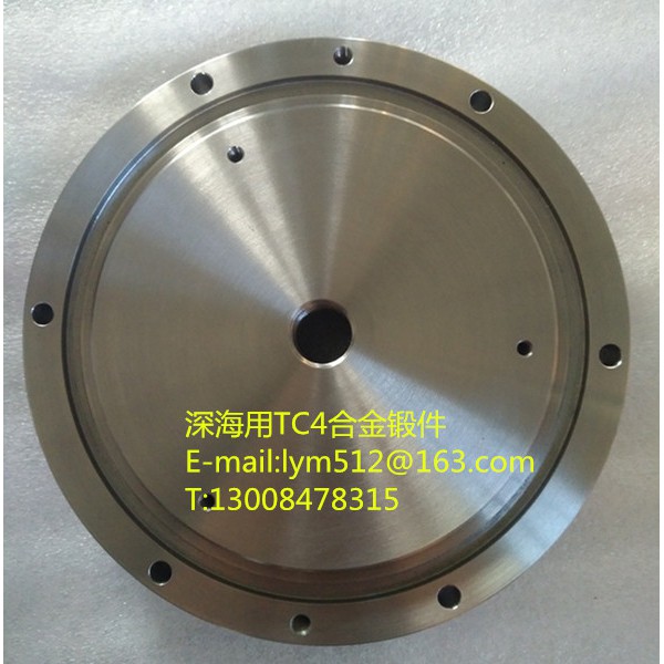 富士特鈦業定制深海用鈦合金TC4鈦鍛件圖2
