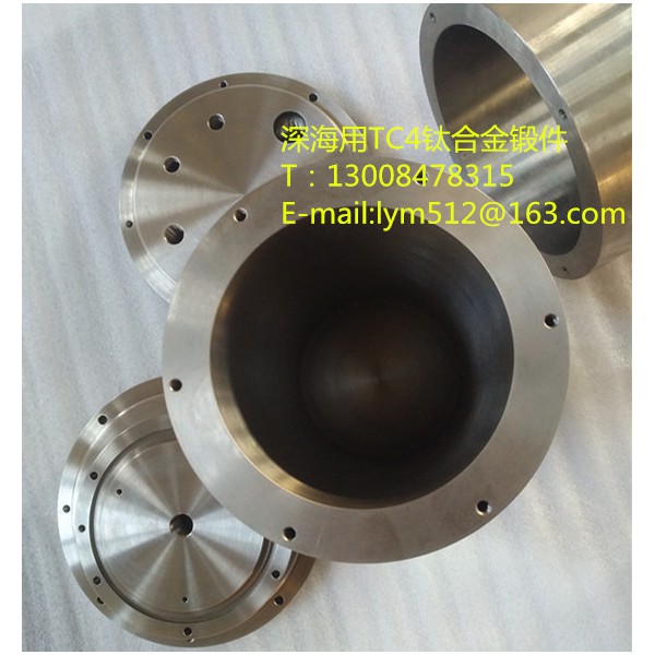 廠家定制石油行業用tc4鈦合金鍛件圖2