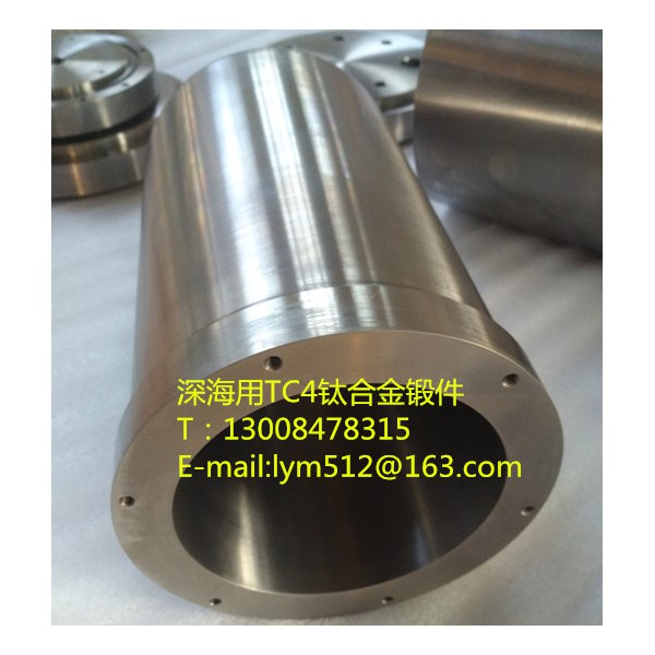 廠家定制石油行業用tc4鈦合金鍛件圖3