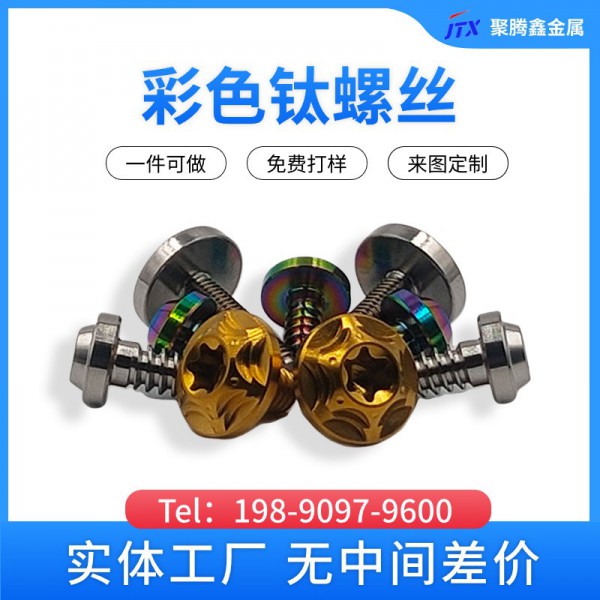 厂家直销彩色阳极氧化钛螺丝耐腐蚀耐磨损PVD镀膜蓝色紫色炫彩色