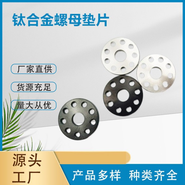 鈦合金摩托車騎行車大小型汽車車牌九孔墊圈/廠家現貨供應批發圖3