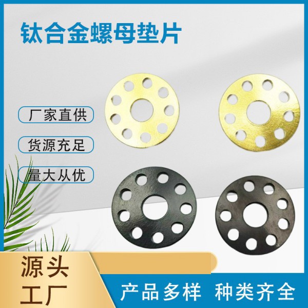 鈦合金摩托車騎行車大小型汽車車牌九孔墊圈/廠家現貨供應批發圖2