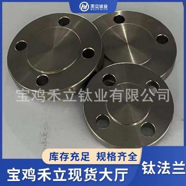 TA1鈦法蘭平焊法蘭盤 焊接法蘭片安徽廠家批發對焊法蘭/高頸法蘭圖2