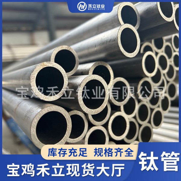 大口徑鈦及鈦合金管批發 TA1/TC4/TA9/TA10工業純鈦管 濱州零售圖2