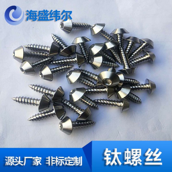 生產Ta1Gr1鈦螺絲/Ta2Gr2鈦螺母/Tc4鈦合金定做非標標準件 緊固件圖3